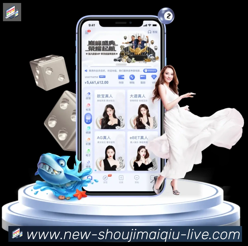 多媒体互动体验