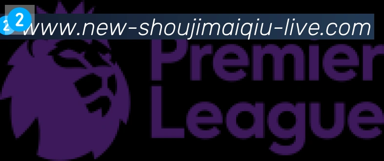 手机买球官网合作伙伴